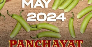 Panchayat Season 3 release date 2024 : Prime video पर Announce हुई रिलीज डेट